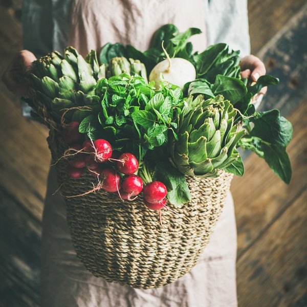 Female farmer in linen apron holding basket of fresh garden vegetables and greens in her hands, rustic wooden barn wall at background, square crop. Local market or organic produce concept