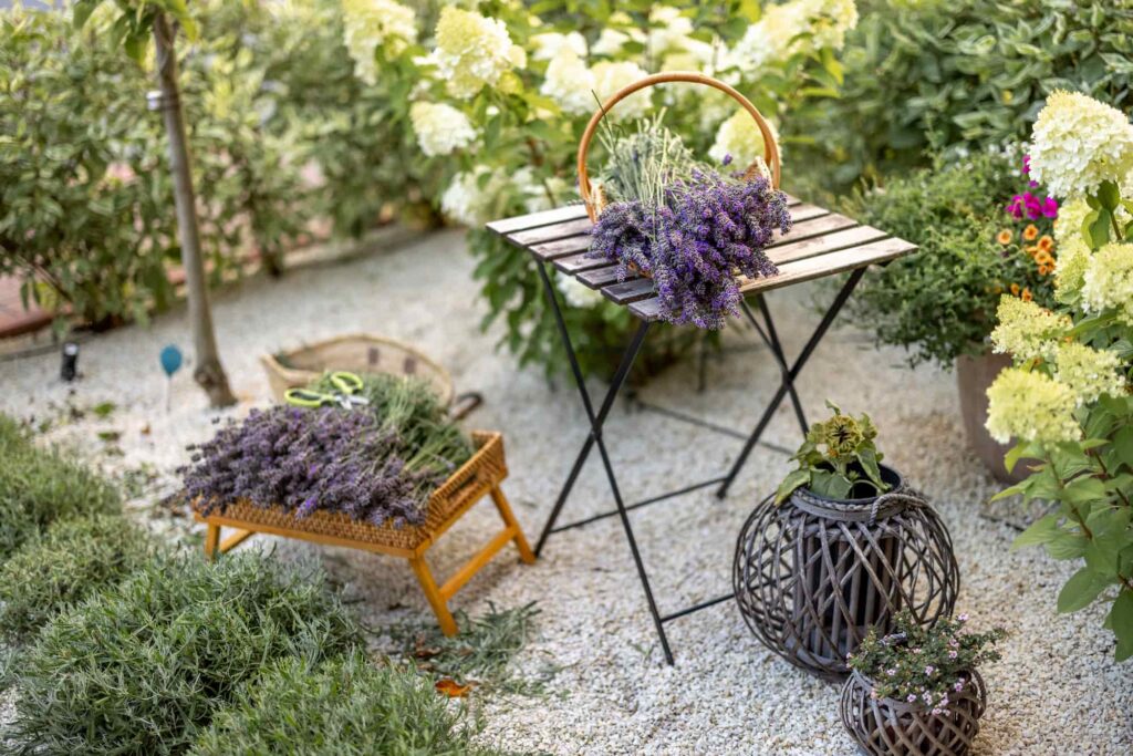 Small Outdoor Garden Ideas For Limited Space