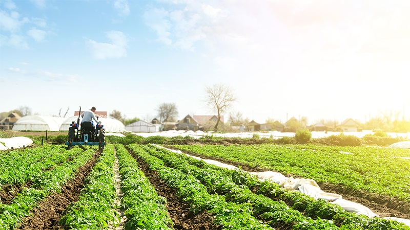 The Impact of Climate Change on Farming