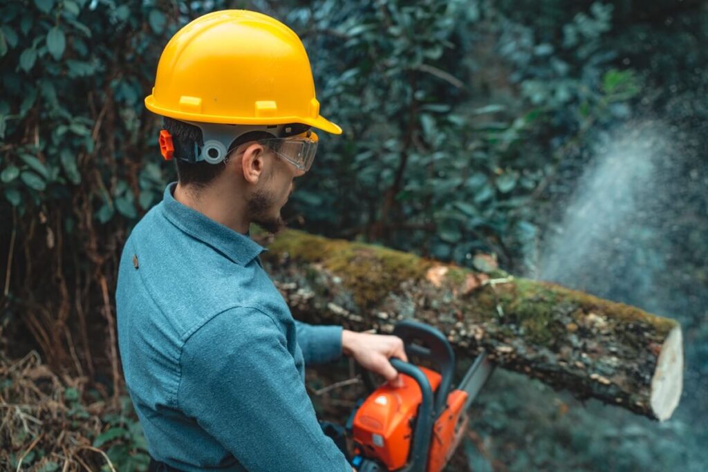 Chainsaw Maintenance Ensures Efficiency and Safety